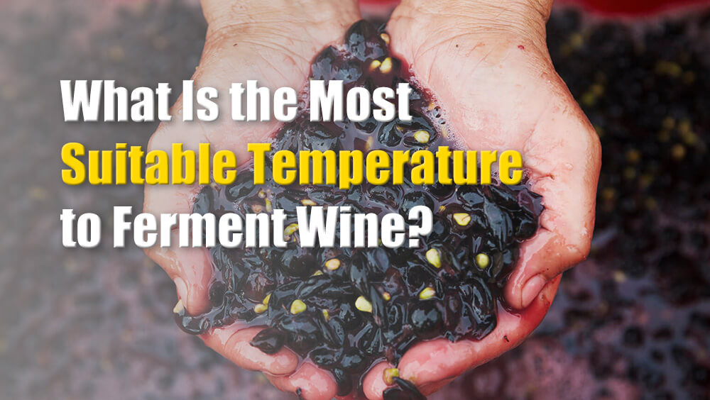 What Is the Most Suitable Temperature to Ferment Wine