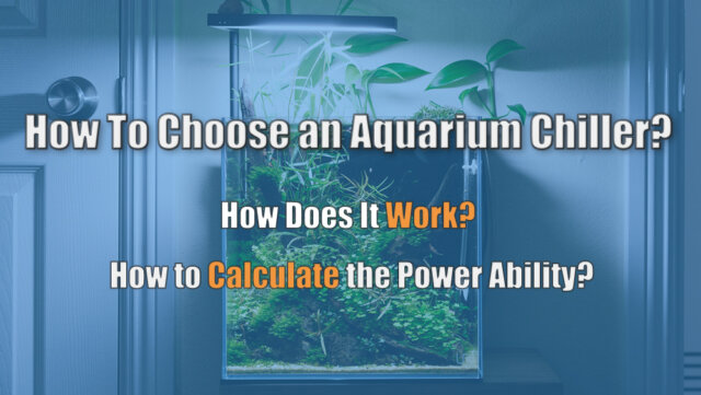 Como escolher um resfriador de aquário