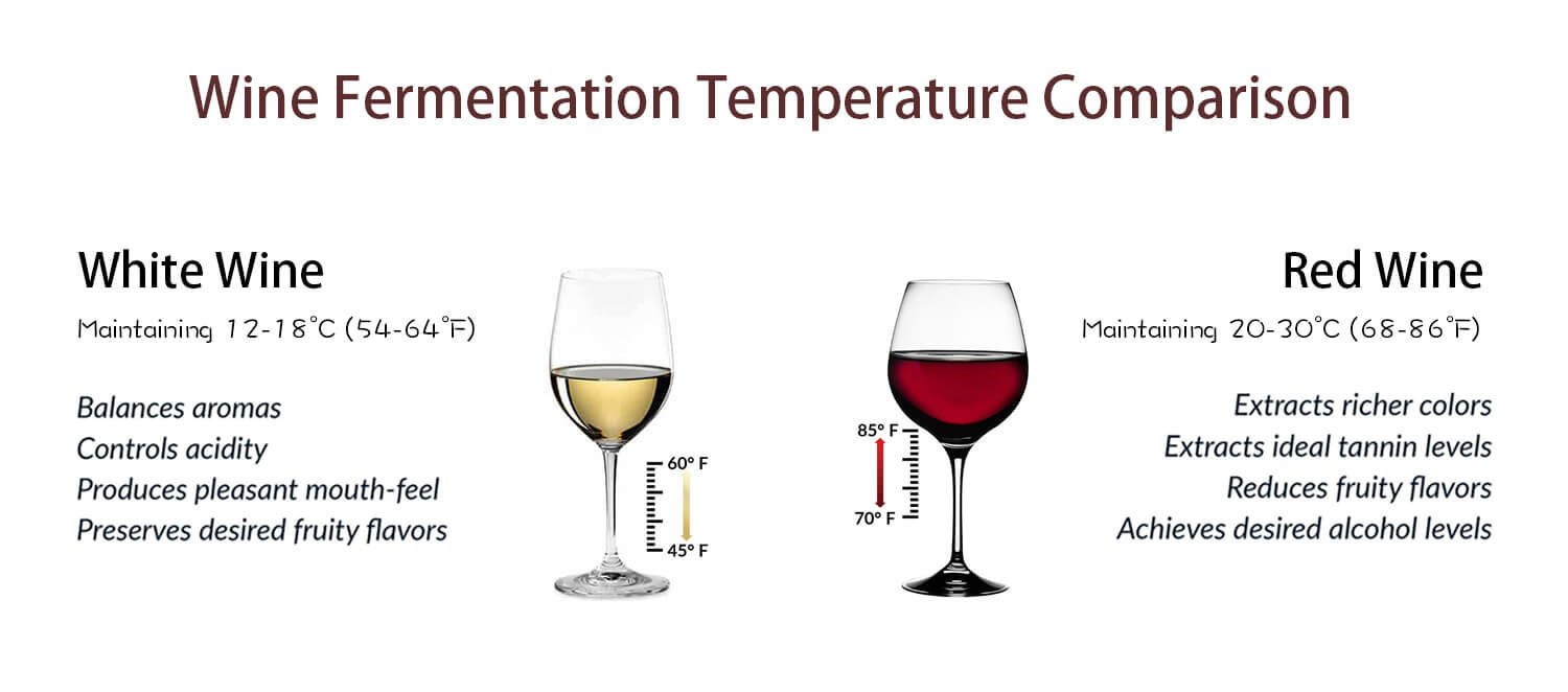 vinho tinto vinho branco comparação de temperatura de fermentação