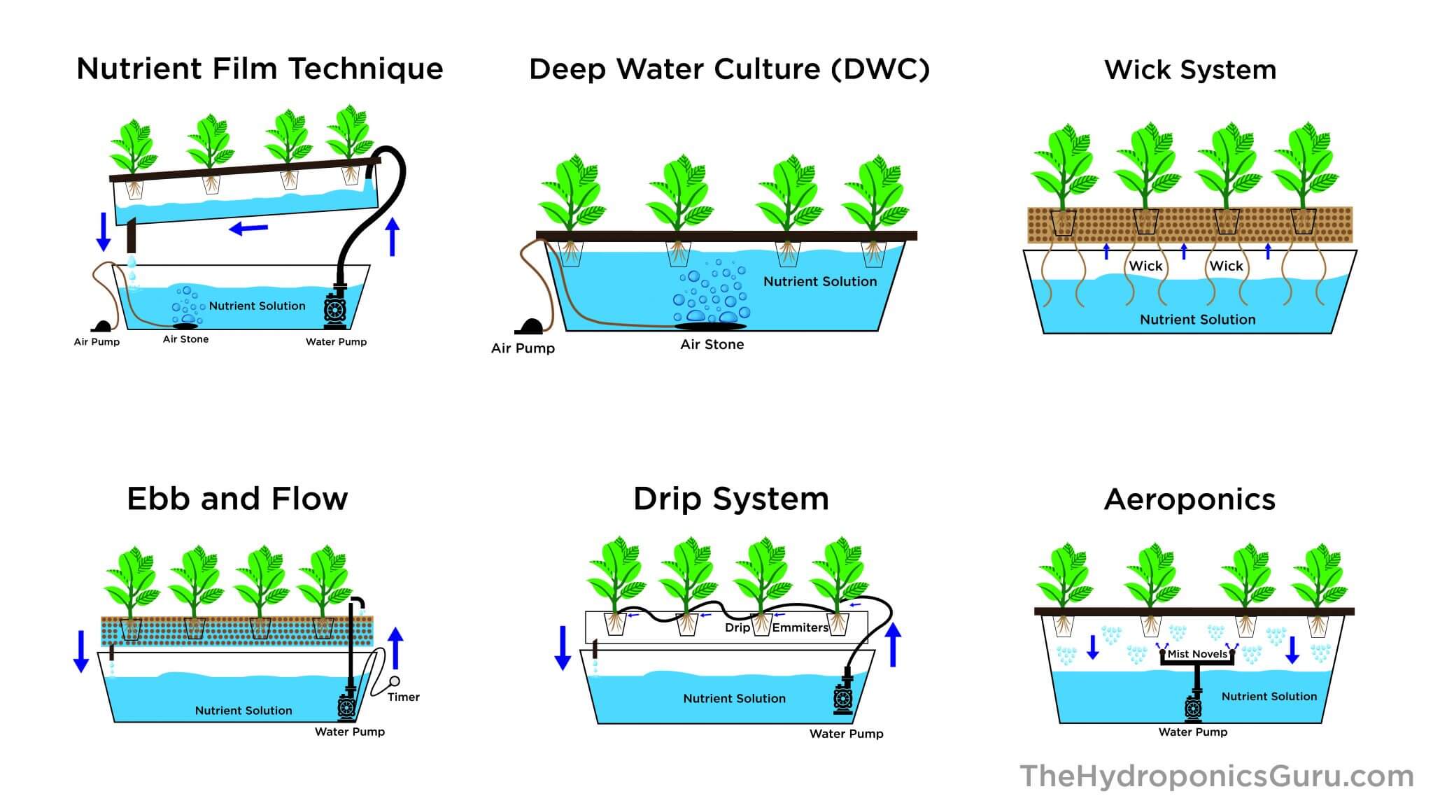 Types of Hydroponic Systems 2048x1148 1